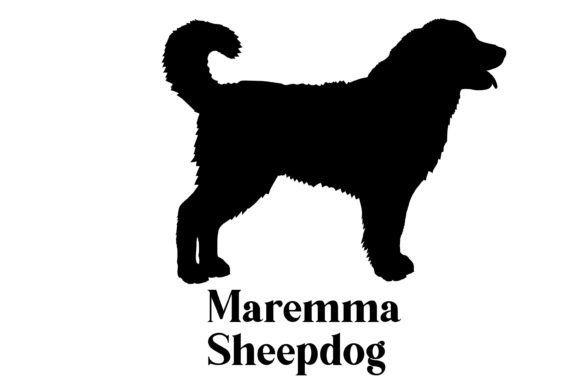 Maremma Sheepdog Dog Silhouette Breeds