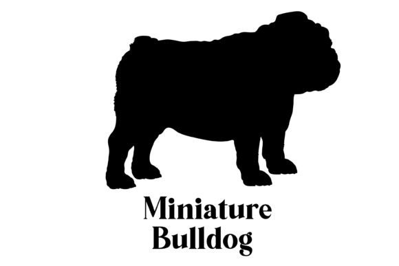 Miniature Bulldog Silhouette Breeds: Designer Review