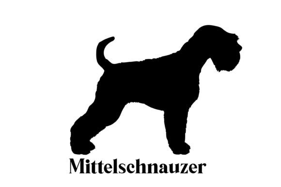 Mittelschnauzer Dog Silhouette Breeds Review