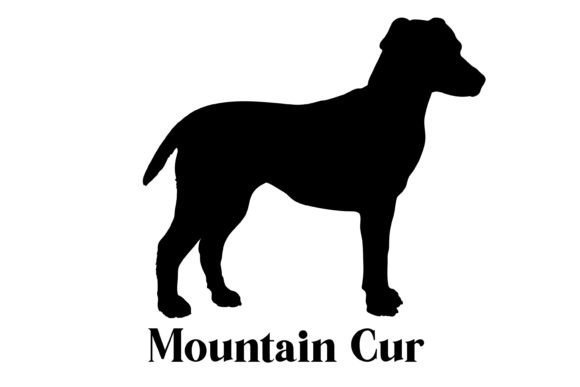 Mountain Cur Dog Silhouette Breeds